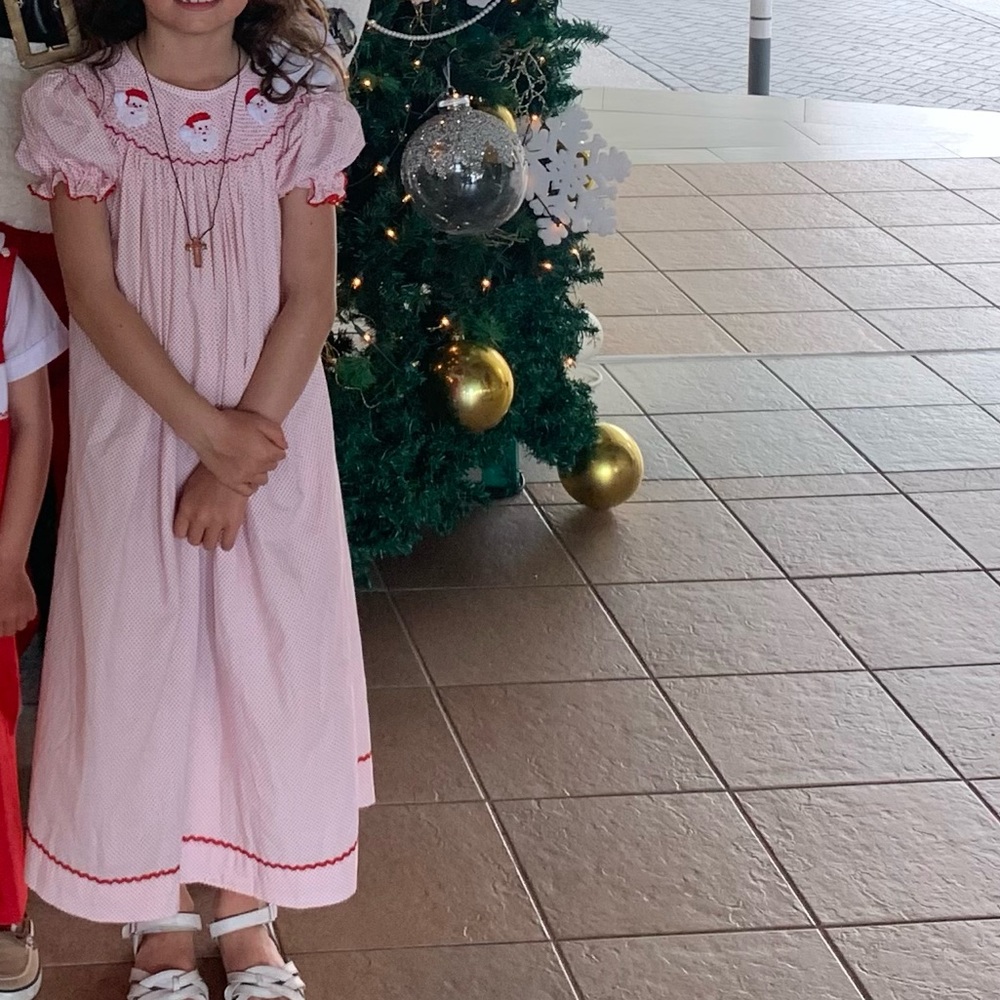Santa smocked dress